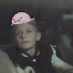 Meet your Posher, Max